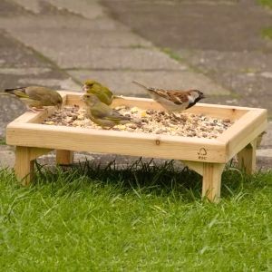 Mangeoire Au Sol Pour Oiseaux 3