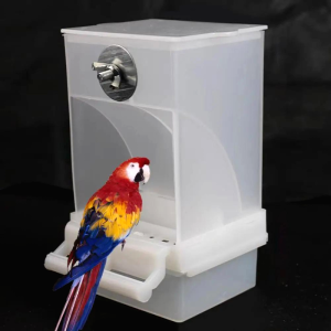 Mangeoire Automatique Oiseaux 4