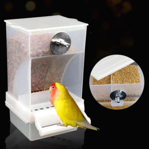 Mangeoire Automatique Oiseaux 5