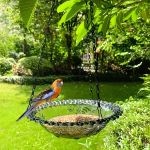 Mangeoire Oiseau Verre
