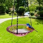 Mangeoire Oiseau Verre 2