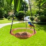 Mangeoire Oiseau Verre 3