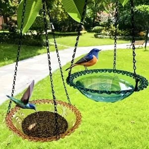 Mangeoire Oiseau Verre 7