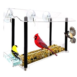 Mangeoire Oiseaux Balcon 3