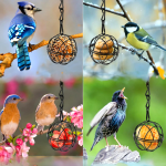 Mangeoire Oiseaux Boule De Graisse 3