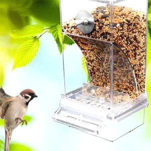 Mangeoire Oiseaux Cage 6