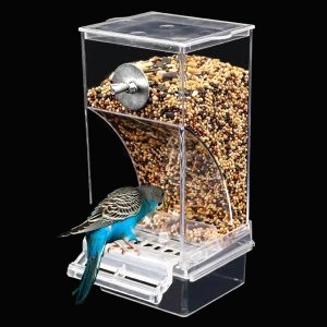 Mangeoire Oiseaux Cage 7