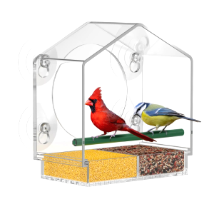 Mangeoire Oiseaux Fenetre 3