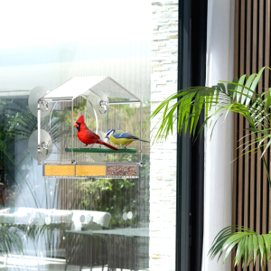 Mangeoire Oiseaux Fenetre 4