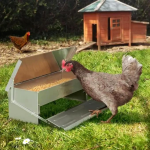 Mangeoire Poule Anti Oiseaux 2