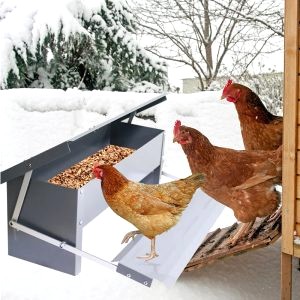 Mangeoire Poule Anti Oiseaux 2